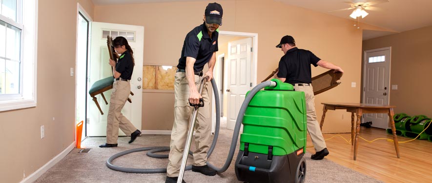 Brandon, FL cleaning services